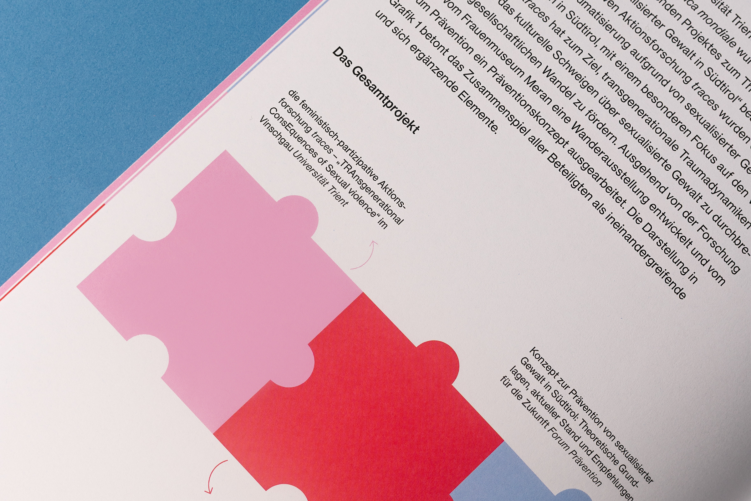 Konzept zur Prävention von sexualisierter Gewalt in Südtirol. Infografik mit Puzzle-Teilen die das Gesamtprojekt darstellt.