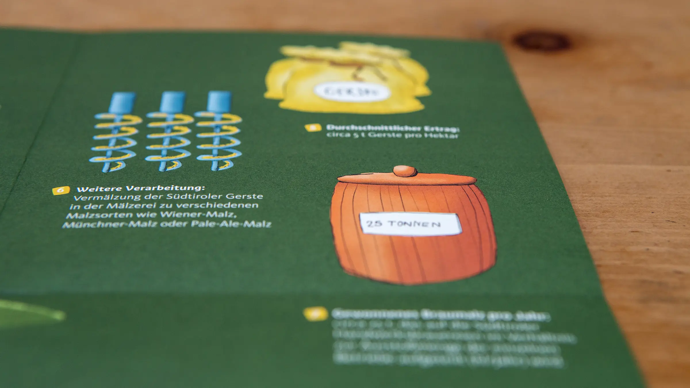 Innenseite der Broschüre für Südtiroler Gerste mit grünem Hintergrund sowie Illustrationen und Texten zur Gersten-Verarbeitung.