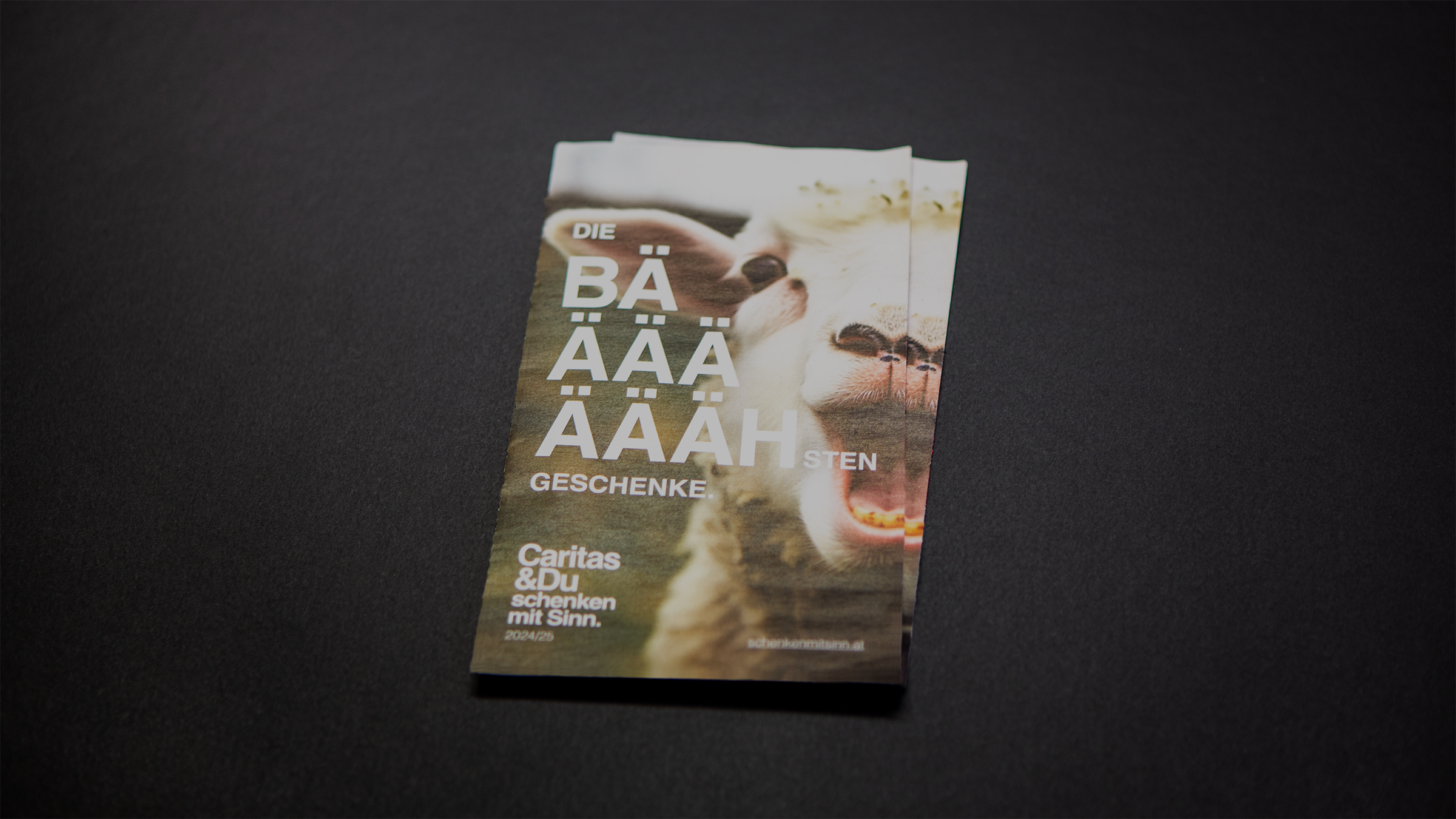 Ein Stapel Broschüren für den Onlineshop der Caritas mit Schaf-Foto auf der Titelseite.
