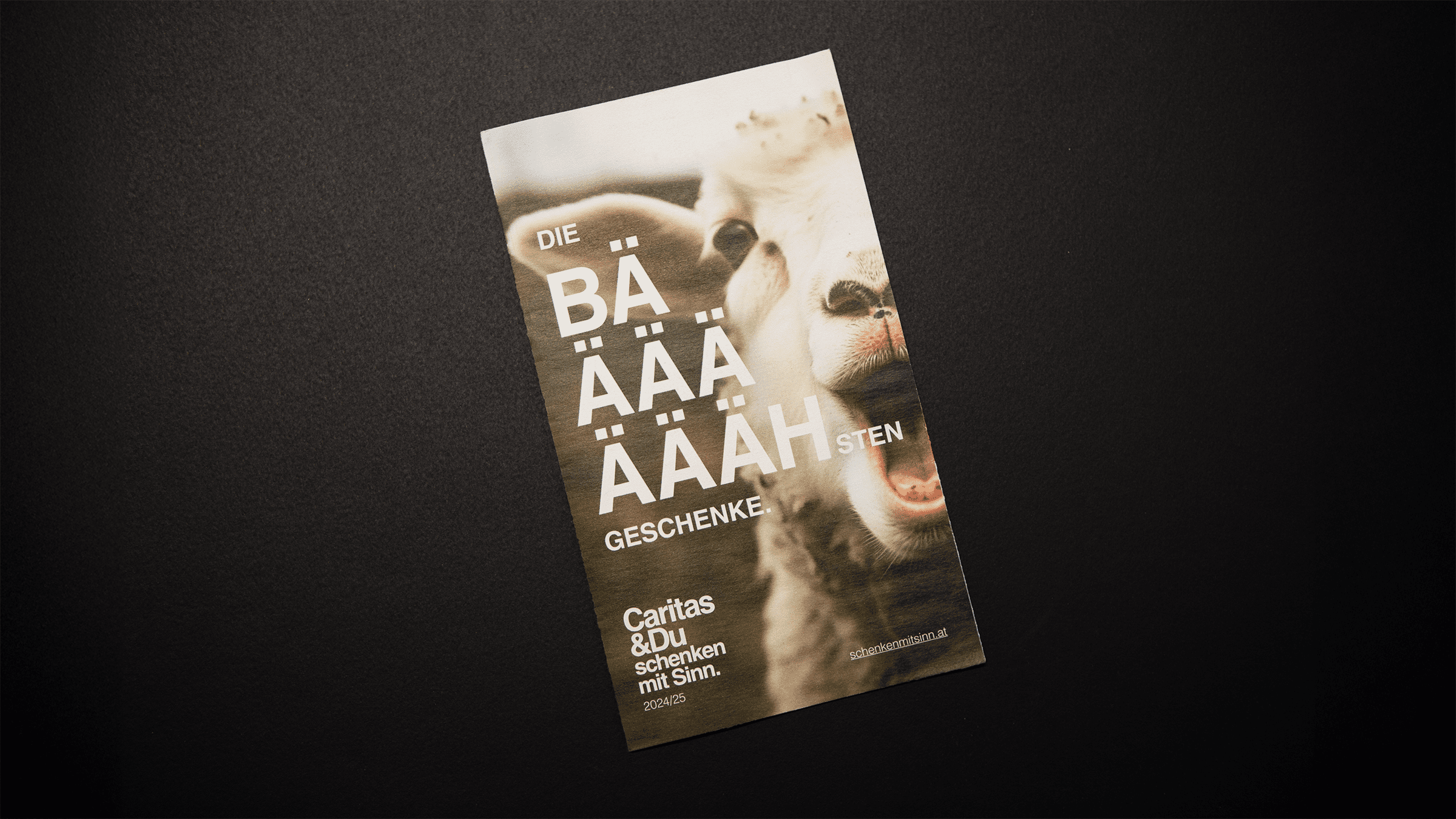 Titelseite der Broschüre für den Caritas-Onlineshop mit Schaf-Foto.